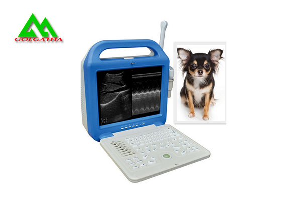 China Portable Full Digital Veterinary Ultrasound Scanner For Cattle Caw Dog Animal supplier