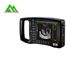 Digital Veterinary Portable Palm Ultrasound Scanner For Big Animal Use supplier